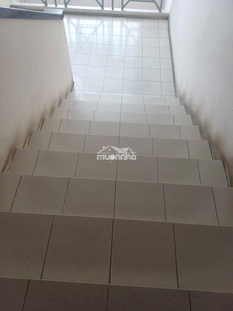 Chung cư lạc long quân ngã tư đầm sen 53m2, 2pn căn góc 