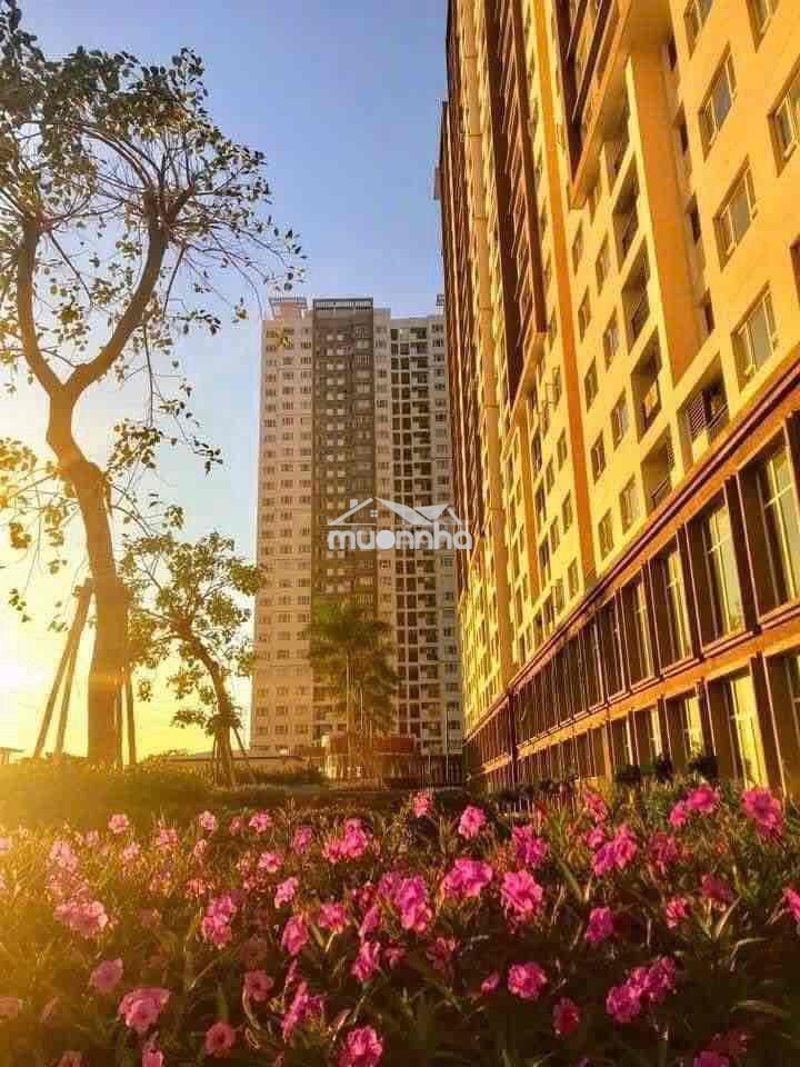 Cho thuê the park residence 1pn 8.5tr - Ảnh 3