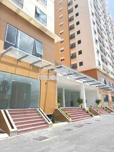 Shophouse các căn dt 60m2 90m2 100m2 130m2 - giá từ 11tr - Ảnh 2