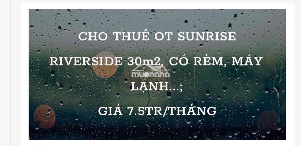 Thuê căn hộ - Ảnh 2