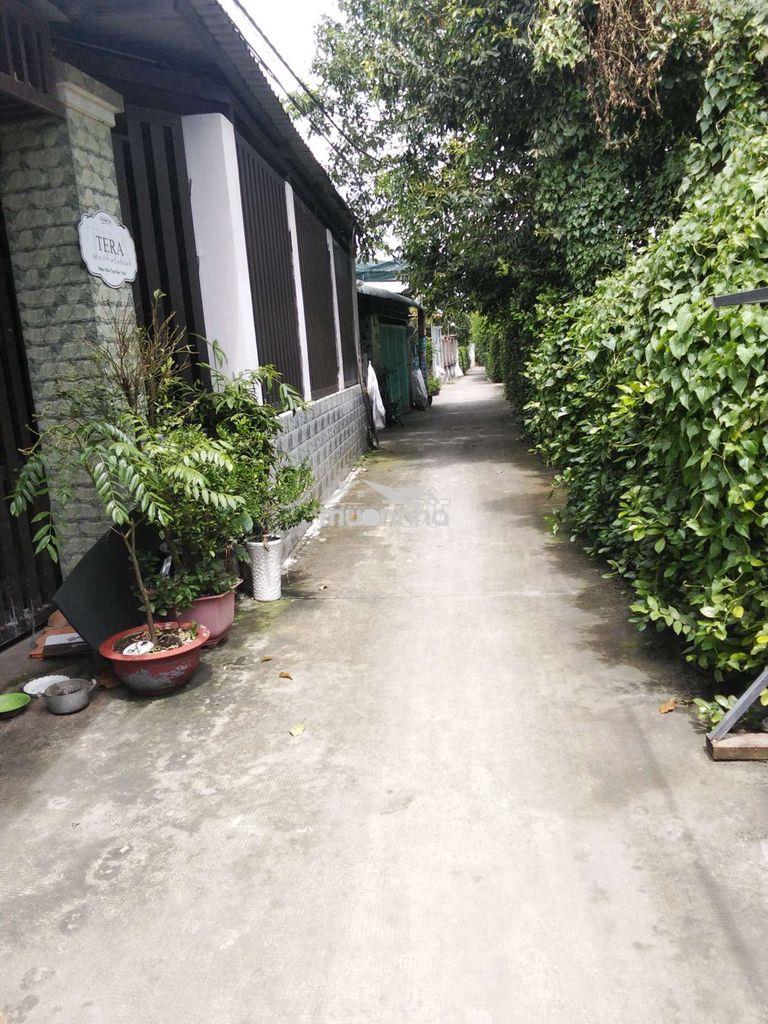 4500.000 - Ảnh 3